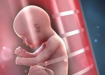 山东三大助孕服务机构有哪些？济南三代试管助孕公司或机构