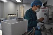 未婚女性去泰国帕亚泰中心做三代试管可以吗？大概需要多少钱？