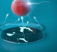 2026年甲亢在岳阳市妇幼做试管的费用高吗？明细是怎么样的？