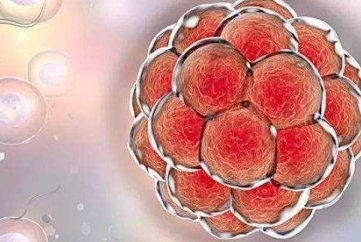 2026年唐山市试管婴儿费用揭秘，总费用多少钱？附上详细清单