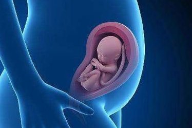 2026年没有卵泡去南平市人民医院做三代试管可以吗？真实成功率公布